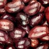 Kalamata-Whole-in-oil